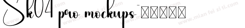 Sk04 pro mockups字体转换